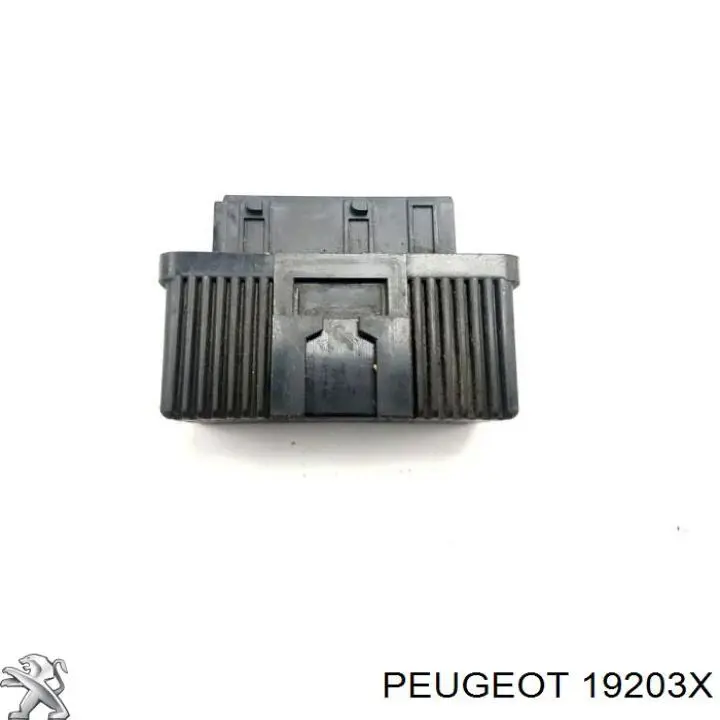 19203X Peugeot/Citroen