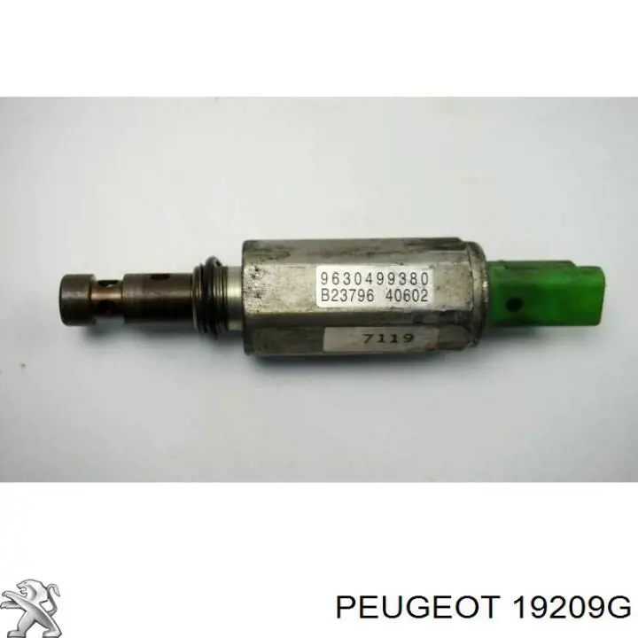 19209G Peugeot/Citroen válvula eletromagnética de posição (de fases da árvore distribuidora)