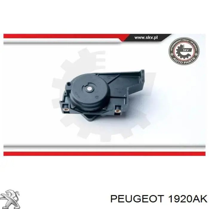Sensor De Posicion del pedal del acelerador 1920AK Peugeot/Citroen