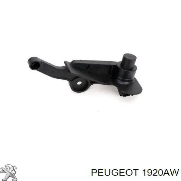 1920AW Peugeot/Citroen ДПКВ