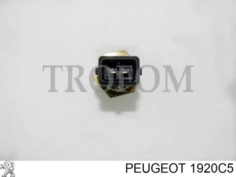 Датчик температуры всасываемого воздуха 1920C5 Peugeot/Citroen