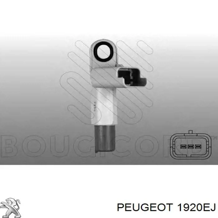 Купить 1920EJ Peugeot/Citroen ДПРВ