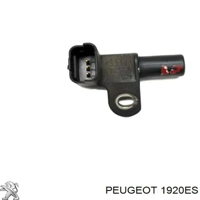 Sensor de posición del árbol de levas 1920ES Peugeot/Citroen