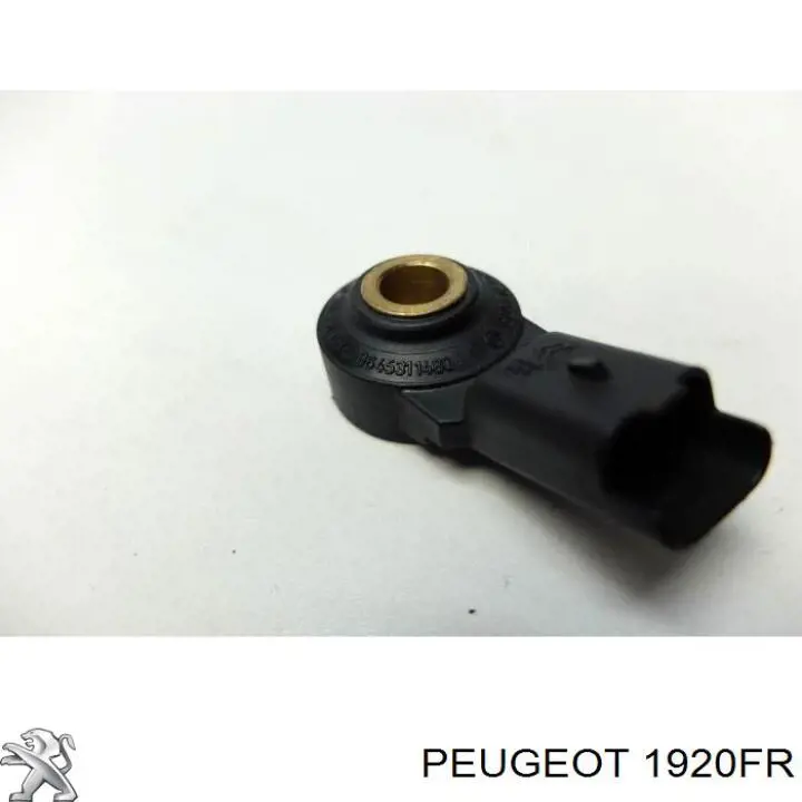 Sensor de detonaciones 1920FR Peugeot/Citroen