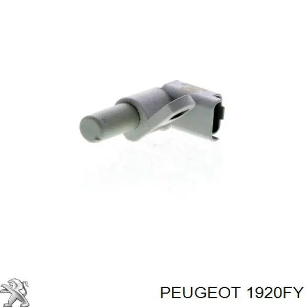 Купить 1920FY Peugeot/Citroen ДПРВ