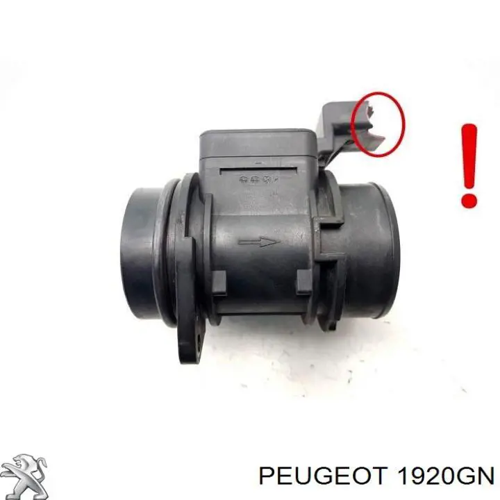 Купить 1920GN Peugeot/Citroen Воздухомер