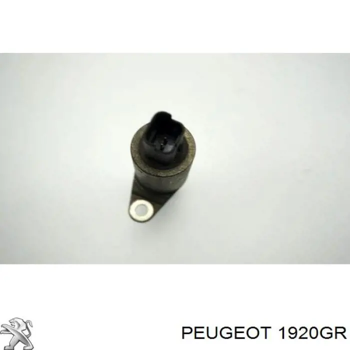 Клапан положения распредвала Peugeot/Citroen 1920GR
