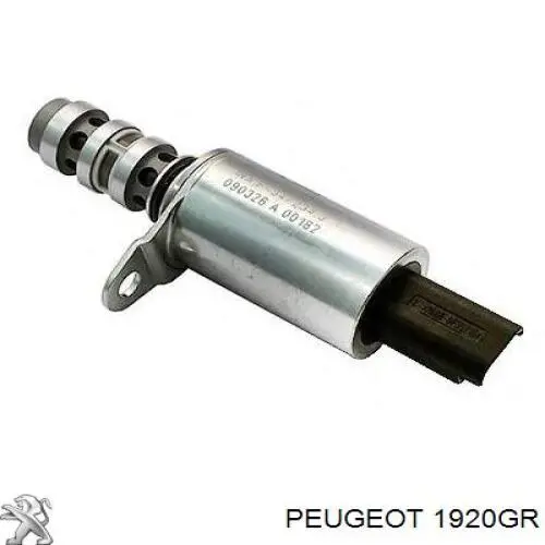 1920GR Peugeot/Citroen клапан электромагнитный положения (фаз распредвала)