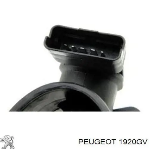 ДМРВ 1920GV Peugeot/Citroen