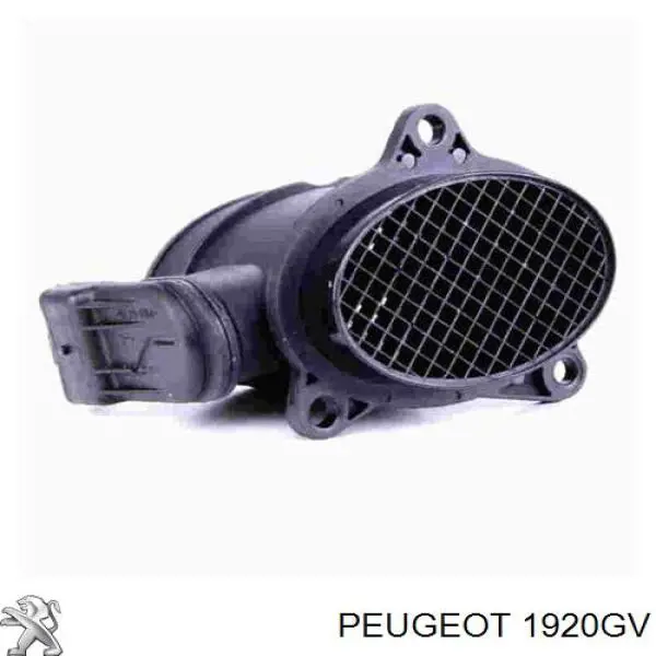 1920GV Peugeot/Citroen sensor de fluxo (consumo de ar, medidor de consumo M.A.F. - (Mass Airflow))