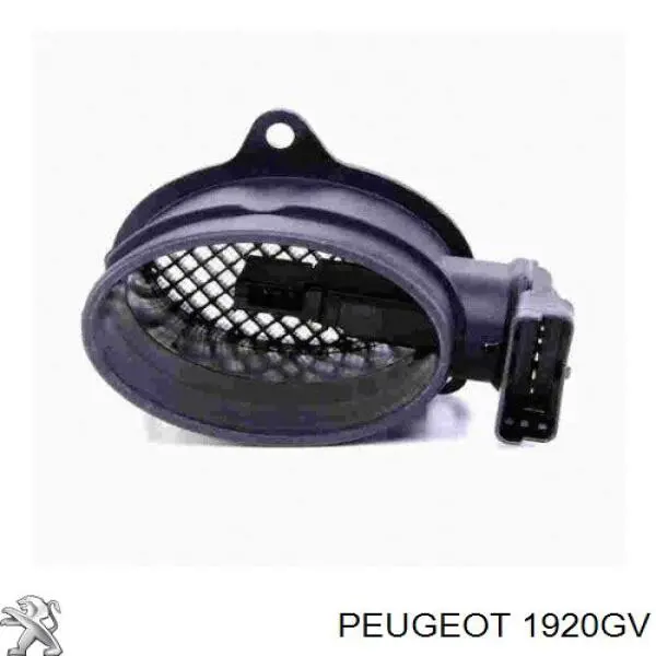 Купить 1920GV Peugeot/Citroen Воздухомер