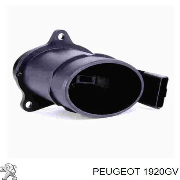 Расходомер воздуха Peugeot/Citroen 1920GV