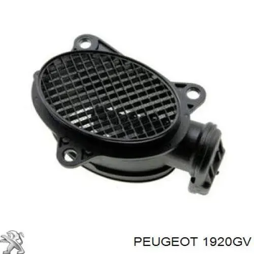 Купить 1920GV Peugeot/Citroen Воздухомер