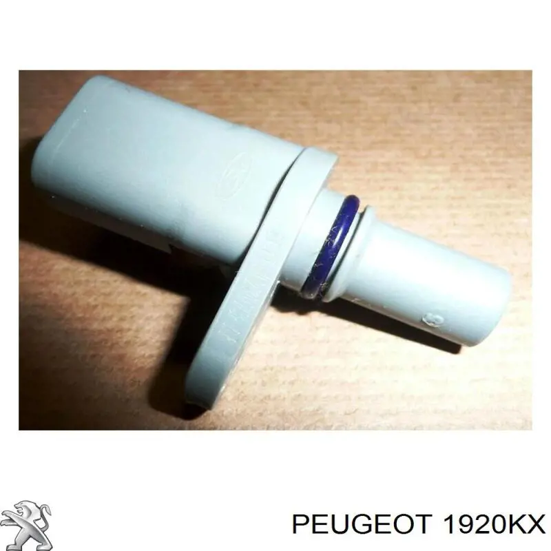 Купить 1920KX Peugeot/Citroen ДПРВ