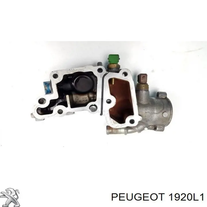 Купить 1920L1 Peugeot/Citroen ДПРВ