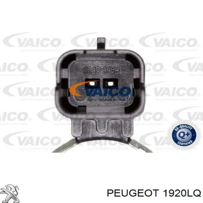  Клапан положения распредвала Peugeot/Citroen 1920LQ