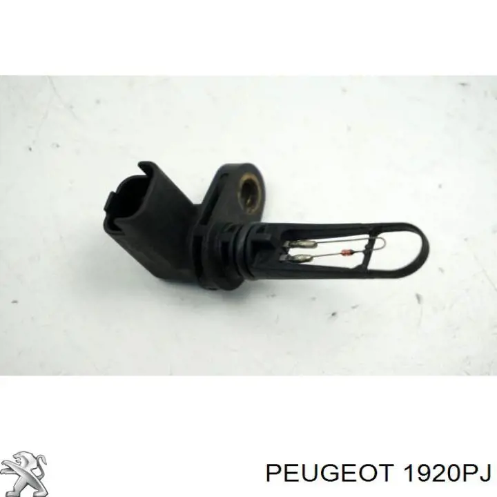 Датчик температуры воздушной смеси Peugeot/Citroen 1920PJ
