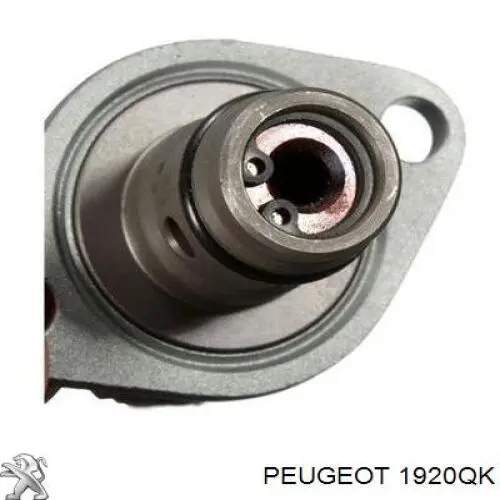 Клапан редукционный 1920QK Peugeot/Citroen