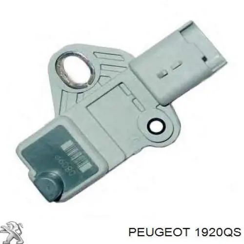 1920QS Peugeot/Citroen ДПКВ
