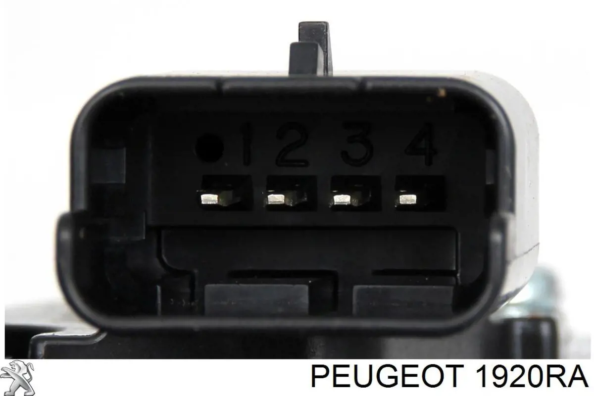 Расходомер воздуха Peugeot/Citroen 1920RA