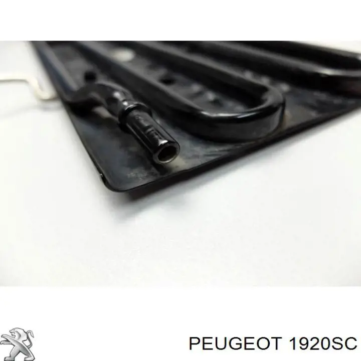 Купить 1920SC Peugeot/Citroen ТНВД