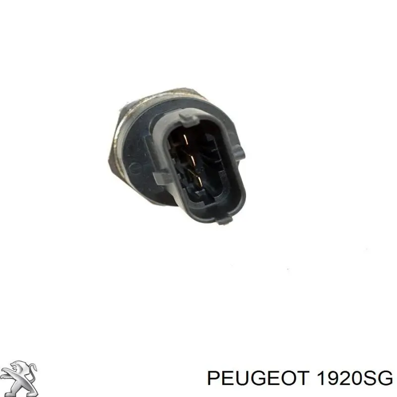 Купить 1920SG Peugeot/Citroen Датчик давления топлива