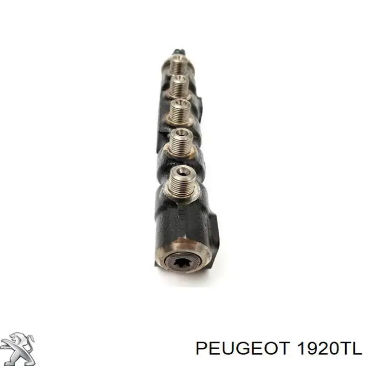 Купить 1920TL Peugeot/Citroen Датчик давления топлива