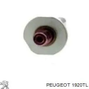 Sensor de pressão de combustível 1920TL Peugeot/Citroen