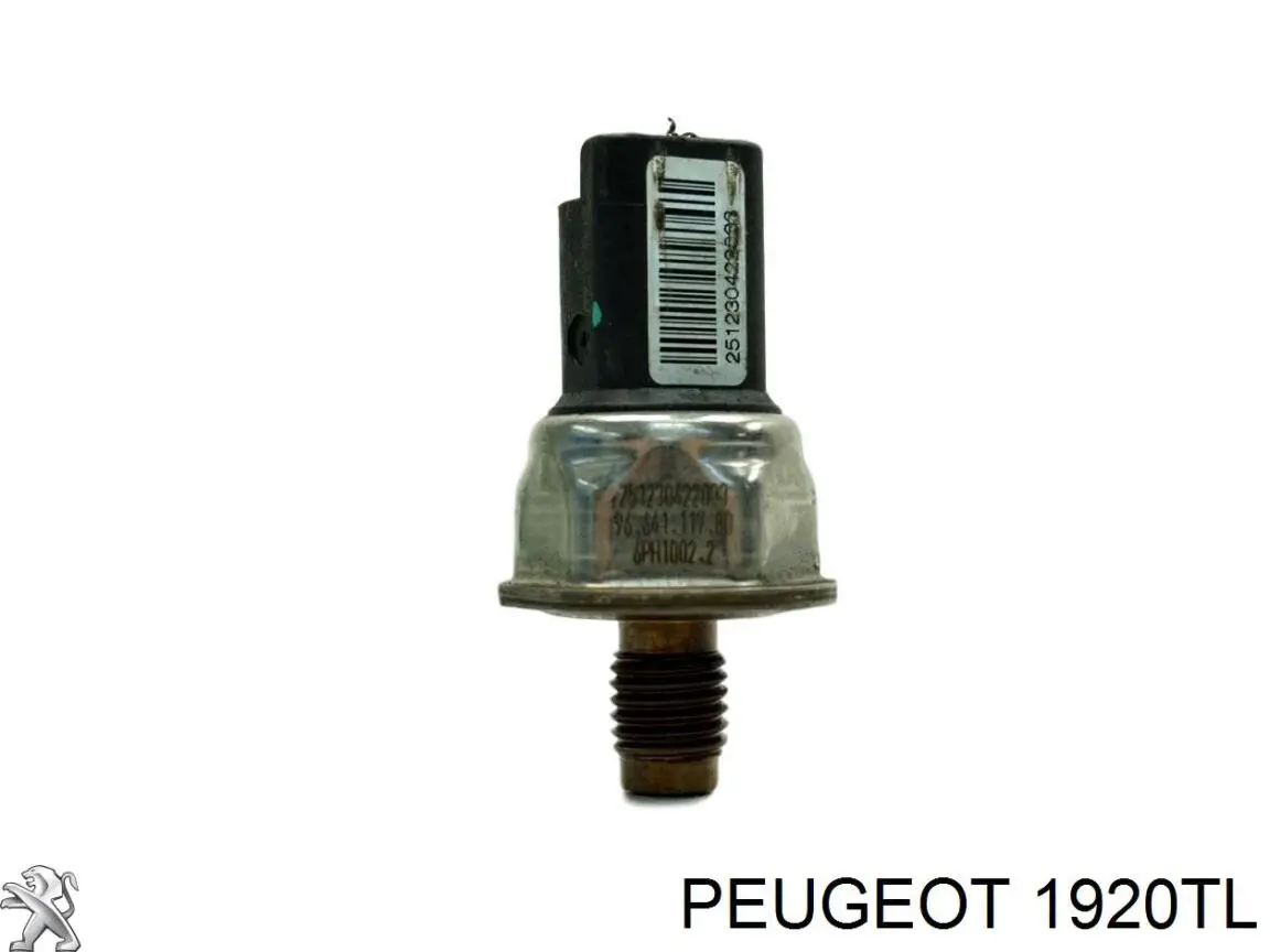 1920TL Peugeot/Citroen Манометры