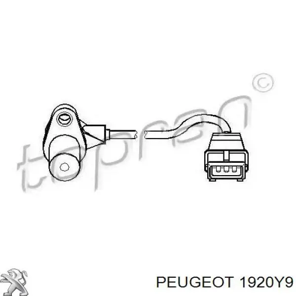 Sensor de posición del cigüeñal 1920Y9 Peugeot/Citroen