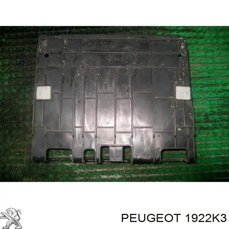  1922K3 Peugeot/Citroen
