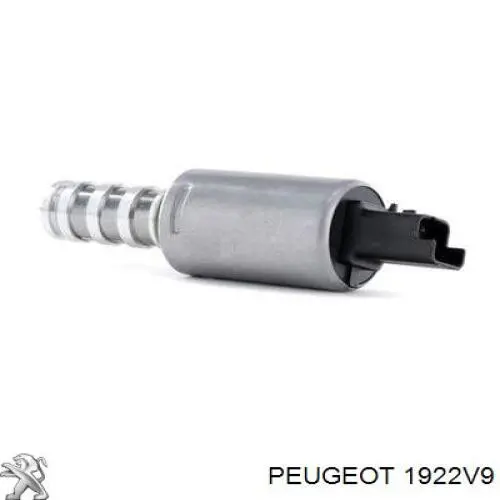 1922V9 Peugeot/Citroen клапан электромагнитный положения (фаз распредвала)