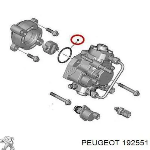 Junta, bomba de alta presión 192551 Peugeot/Citroen