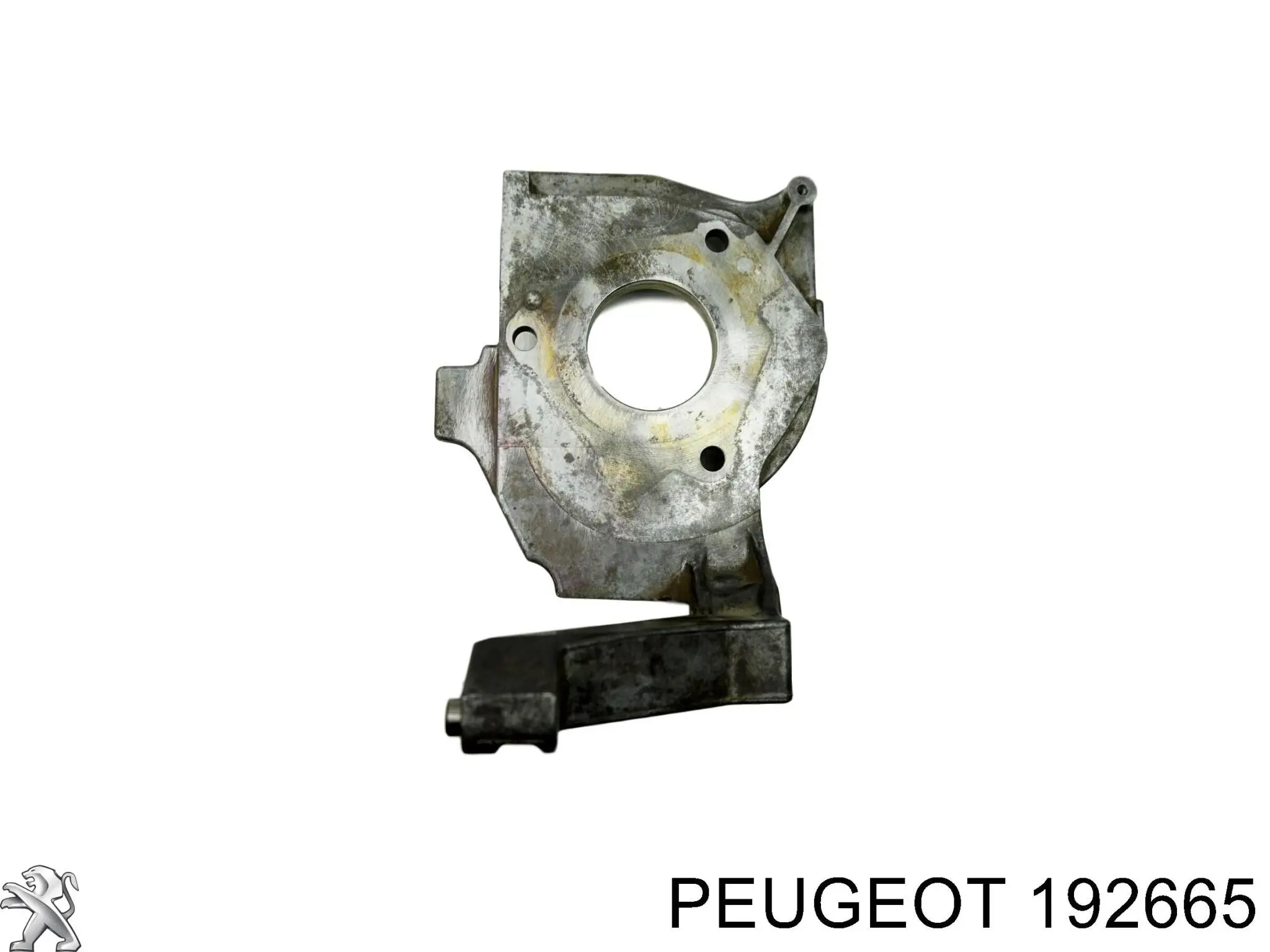 Кронштейн топливного насоса ТНВД Peugeot/Citroen 192665