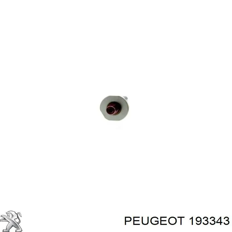  193343 Peugeot/Citroen