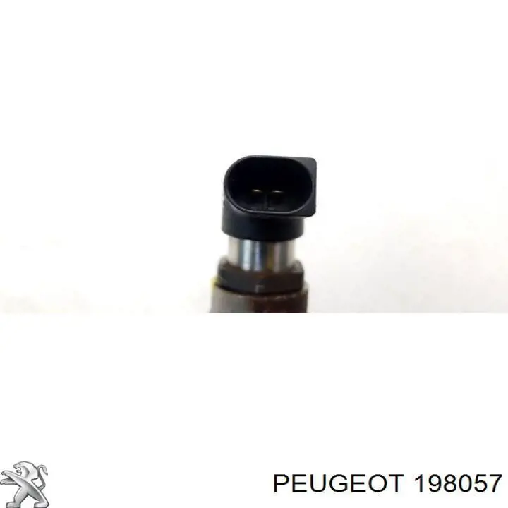 198057 Peugeot/Citroen Топливные форсунки