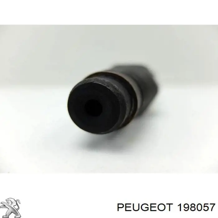 Форсунка инжектора Peugeot/Citroen 198057 цена, от 19.00 USD