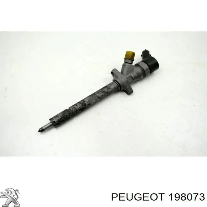 198073 Peugeot/Citroen injetor de injeção de combustível