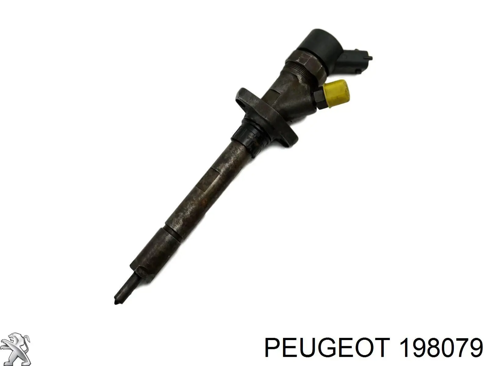 198079 Peugeot/Citroen injetor de injeção de combustível
