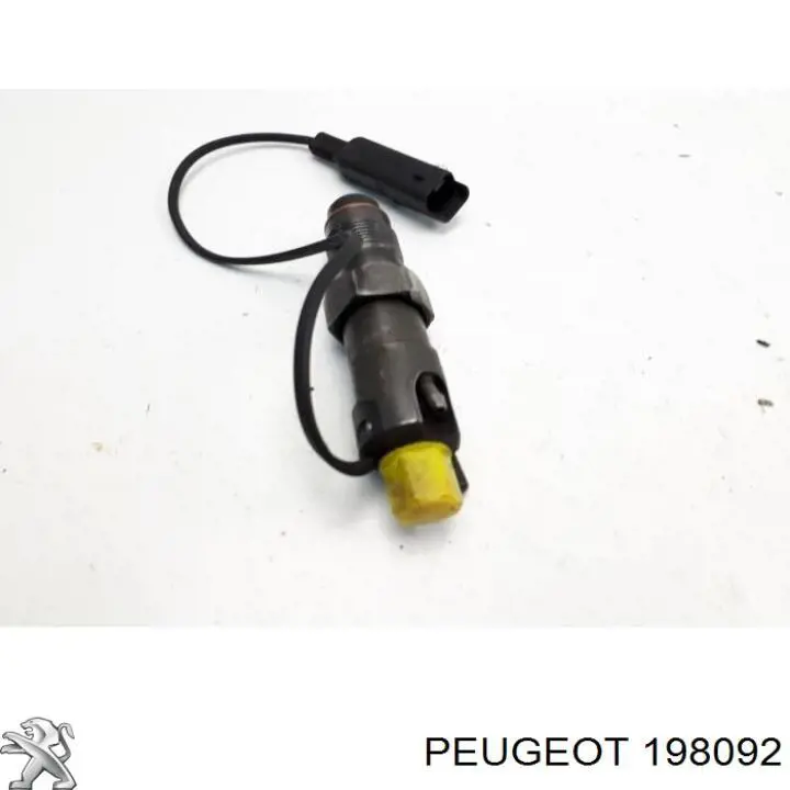 Распылитель форсунки 198069 Peugeot/Citroen