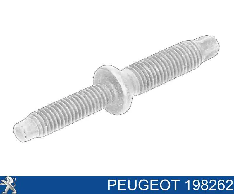 198262 Peugeot/Citroen parafuso de fixação do injetor