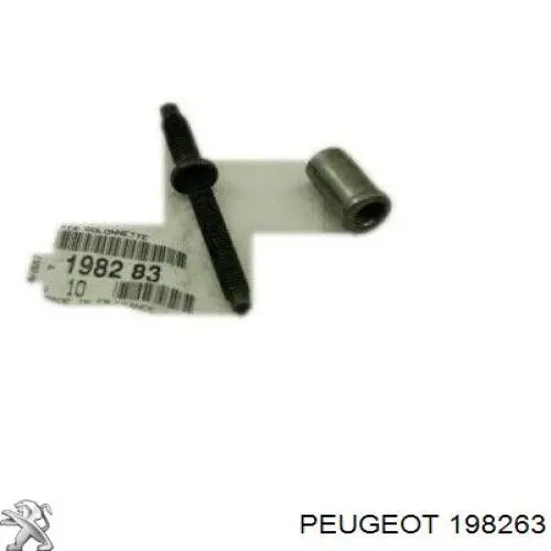 Tuerca, montaje de inyector 198263 Peugeot/Citroen