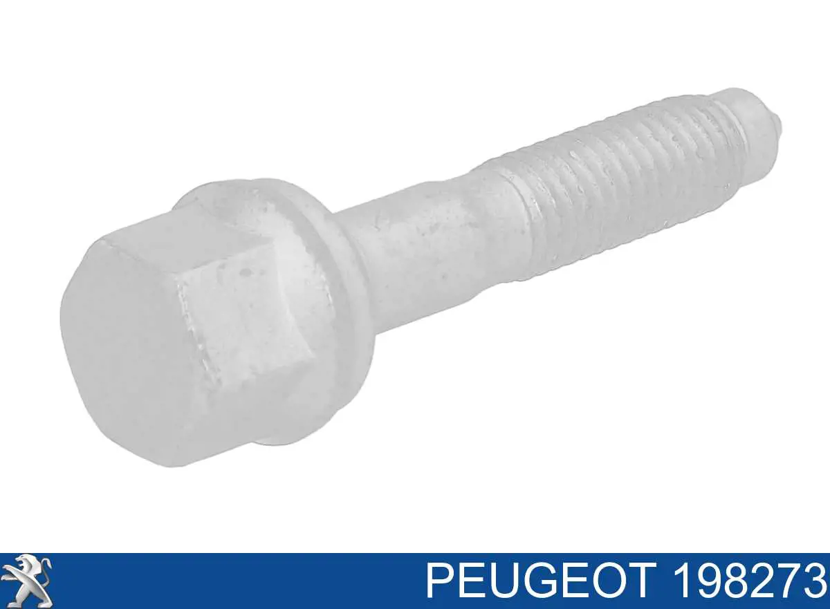 198273 Peugeot/Citroen parafuso de fixação do injetor