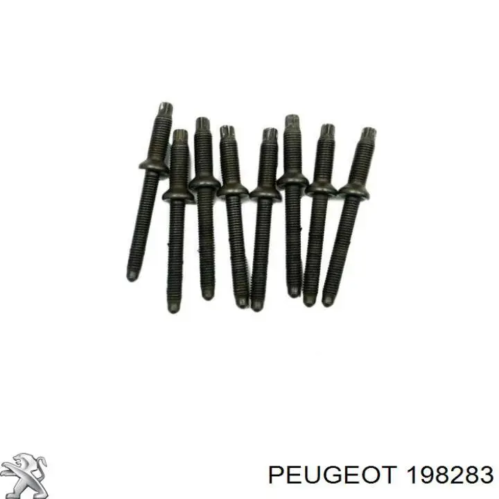 Болт крепления форсунки Peugeot/Citroen 198283 цена, от 0.76 USD