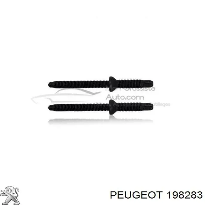 198283 PEUGEOT Tornillo, soporte inyector original y equivalente