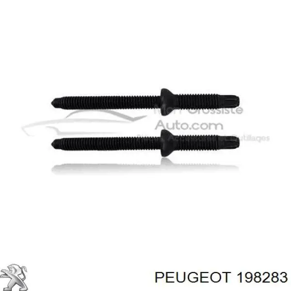 Купить 198283 Peugeot/Citroen Болт крепления форсунки