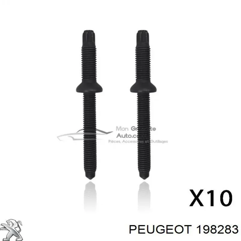 Болт крепления форсунки 198283 Peugeot/Citroen