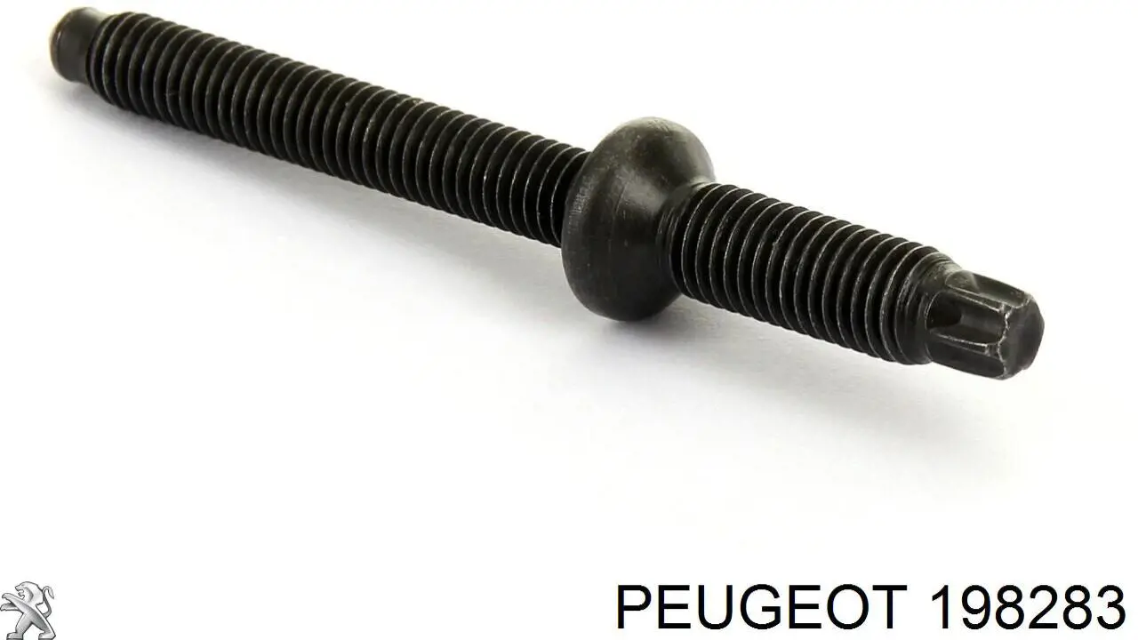 Болт крепления форсунки Peugeot/Citroen 198283