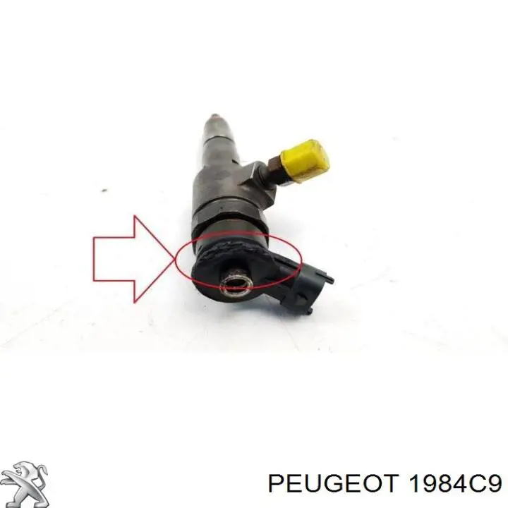 1984C9 Peugeot/Citroen Топливные форсунки