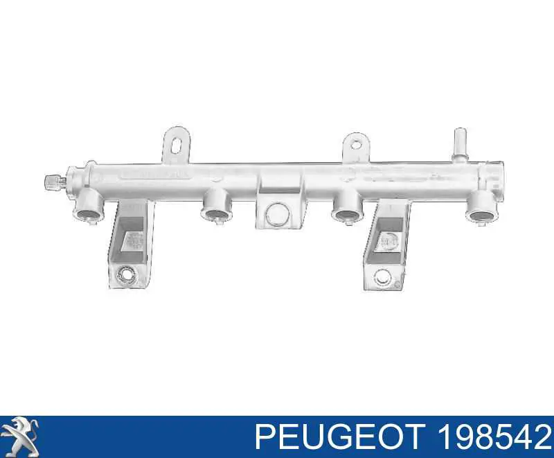 198542 Peugeot/Citroen распределитель топлива (рампа)